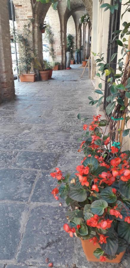 Nenet Bed & Breakfast Guglionesi Exterior photo